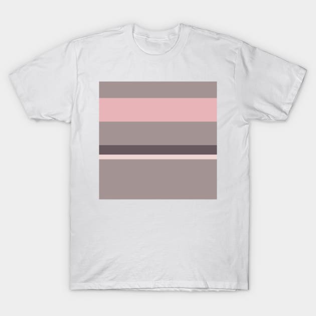 An unparagoned bind of Dirty Purple, Spanish Gray, Pale Pink and Soft Pink stripes. T-Shirt by Sociable Stripes